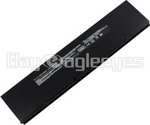 Asus:AP22-U1001,AP22-U100